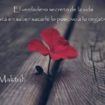 La propuesta del rincón