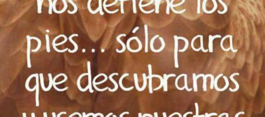 La propuesta del rincón La propuesta del rincón